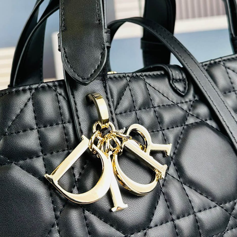 small D*or toujours bag