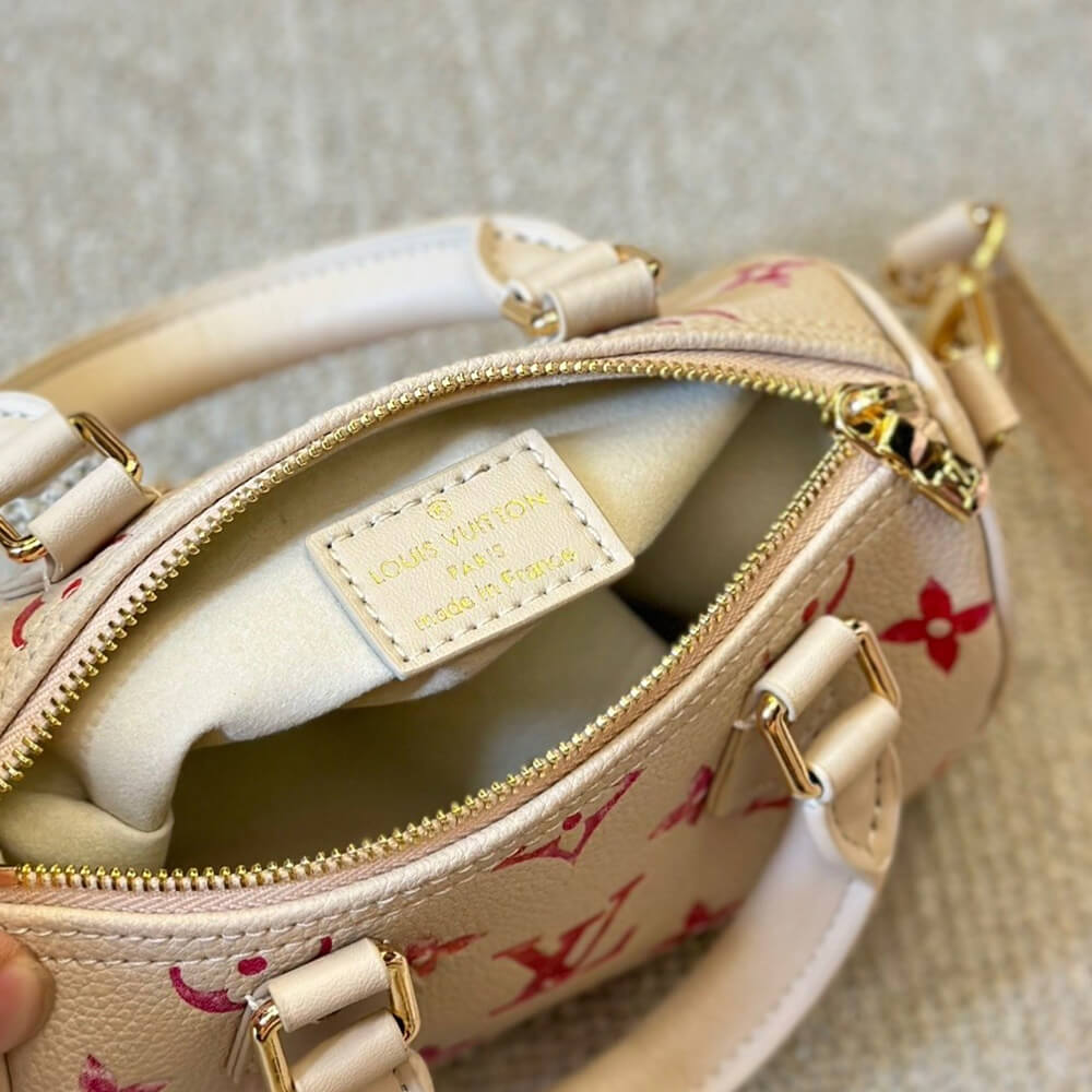 LV NANO SPEEDY BAG