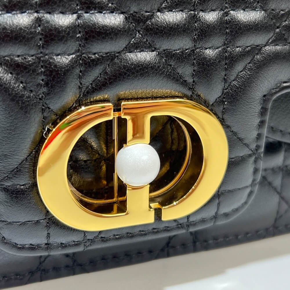 small D*or jolie handbag