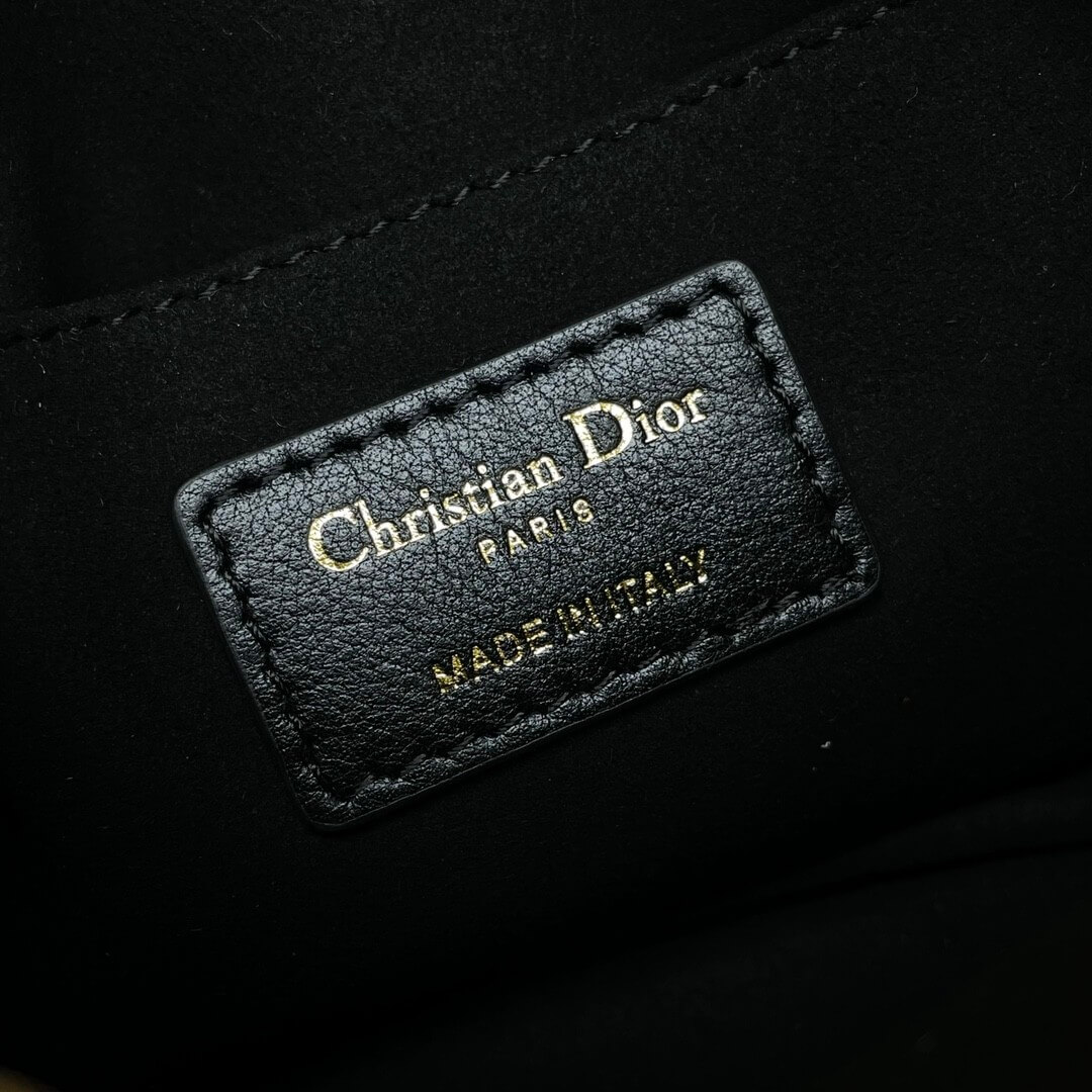 small D*or caro top handle camera bag