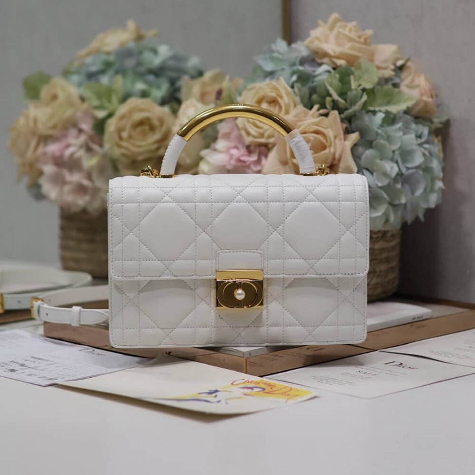 medium D*or ange bag