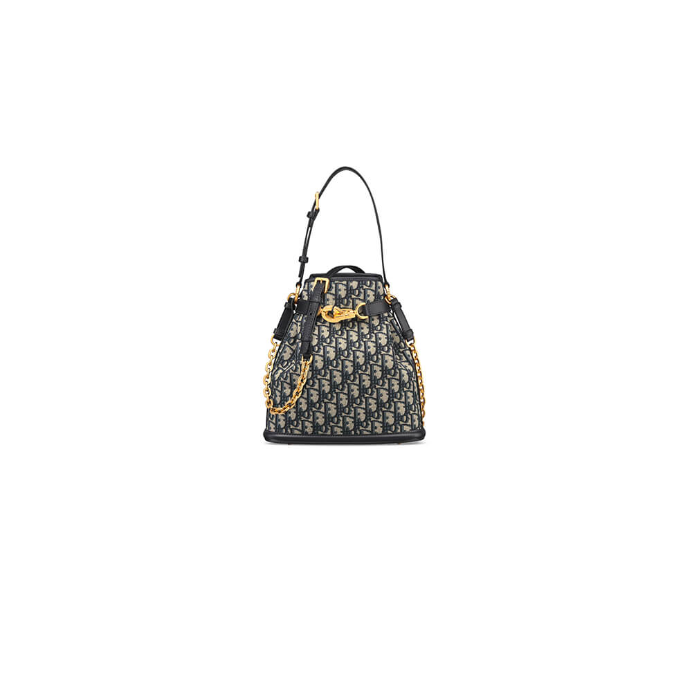 medium c’est D*or bag